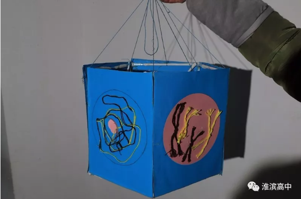 1516088335120854.png
