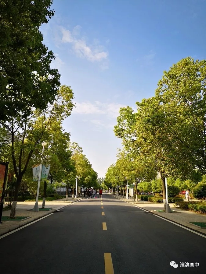 1.webp (1).jpg