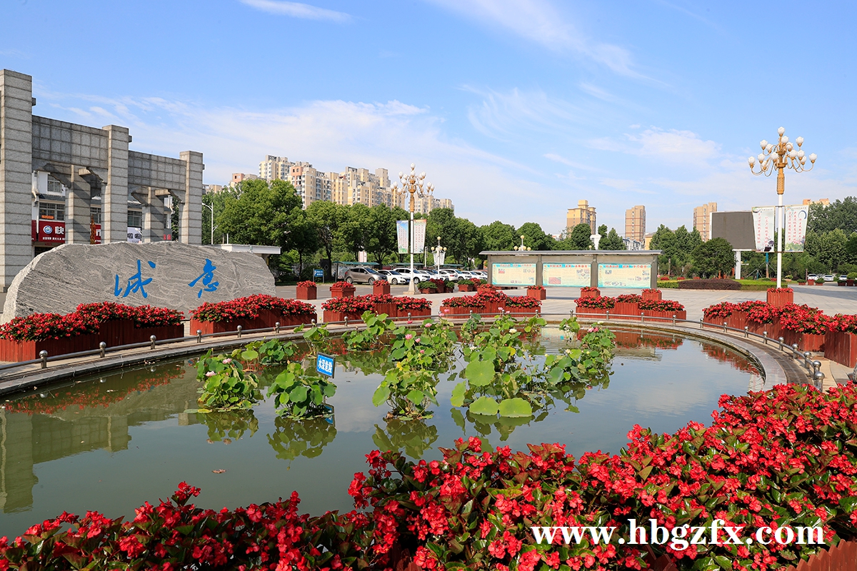1629260517108788.jpg 【正心池1200】_G9I5346【】.jpg