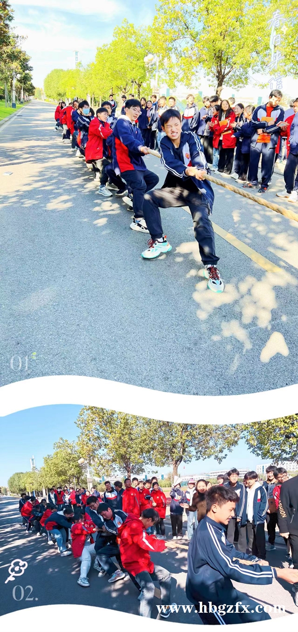 1699949624462204.jpg 001.jpg